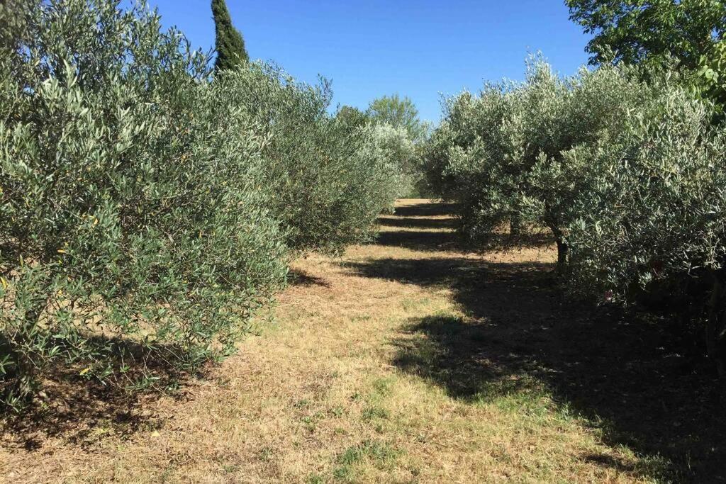 bastide derroc Villa Cotignac Eksteriør billede